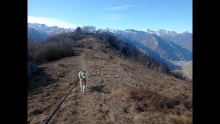 Escursione da Albard di Bard alla Tête de Cou 04_02_2024