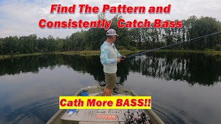 Mastering Bass Fishing Patterns: Strategies for Consistent Catches