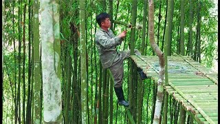 How I Built a Bamboo Tree House |  Part 1 builds an elevated staircase, Bushcraft Survival #10