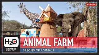 ANIMAL FARM | Farm | H2O Channel