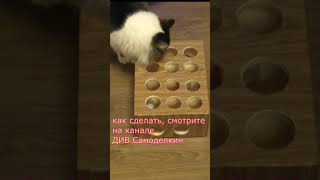 КАК СДЕЛАТЬ ПРОСТУЮ ИГРУШКУ ДЛЯ КОШЕК #shorts