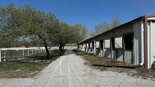 Full tour of Prince Julius (and Cosmo’s) stables #friesianhorse #friesian #horsestable #farmcat