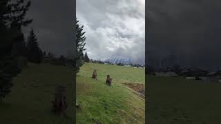 French alps skiing - Les flocones verts Les Carroz France