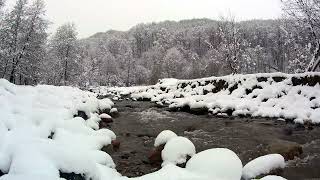 Naturens Ljud-Flod i Skogen-Naturljud-Ljud av Naturen-Naturligt Ljud-Vinterflod-Snö-Skog-Berg-Vinter