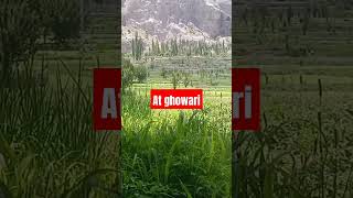 #motivation #travel #gilgitbaltistan #viralvideo #100kview #foryou #nature