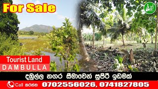 440 Perches from Dambulla Tourist Zone - Call: 0702556026, 0741827805 - LAK ADS