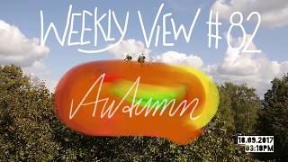 Weekly View #82 ~ Autumn I Papaju - Tree Vlog