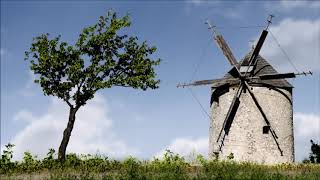 Allan Sheldon - Old Windmill Tree