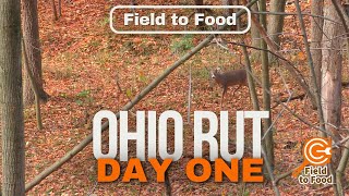 Ohio Hunt November 2nd BUCKS ARE MOVING