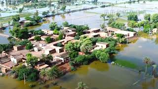 Flood in my Village Pakistan 2022 | Flood in pakistan