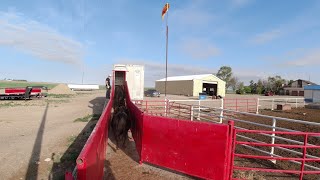 No, we aren't hauling cattle in a cement truck