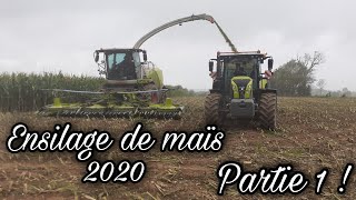 Ensilage de maïs 2020 ! 🌽 Partie 1/3.