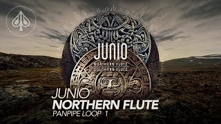 Junio - Northern Flute (Official Motion Player)