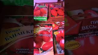 Самые сладкие ,мясистые и вкусные томаты 🍅🍅🍅