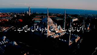 Buhat Kam Log Dil Ke Ameer Hote Hain ! 💖 || Hazrat Ali Quotes || Saqib Production