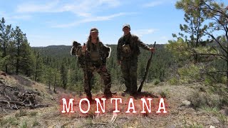 Turkey Hunting in Montana and Catching a Flathead Chub