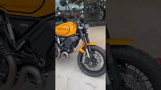 2023 Scrambler 1100 Tribute Pro Giallo Ocra! Stock exhaust start up video.