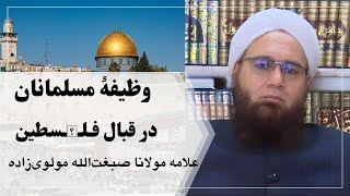 وظیفۀ مسلمانان در قبال فـلـ𓂆ـسطین | علامه مولانا صبغت‌الله مولوی‌زاده