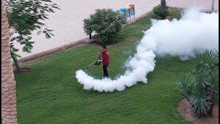 UN climate conference 2022, Sharm el Sheik, Egypt, afterburner guy