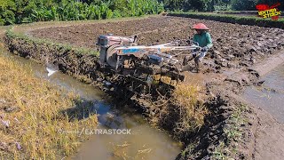 Traktor Sawah Pindah Langsung Lanjut Nyingkal Lahan