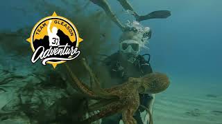 Adaptive Scuba Diving in Hawaii | Dave's Team Gleason Adventure