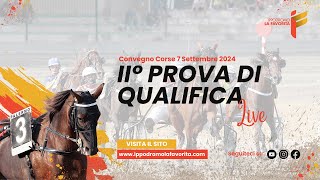 Live II° Prova di Qualifica del 7 Settembre 2024 - 2 Anni - Metri 1600