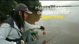 DAHSYATnya tarikan udang jenis ini!!joran dipaksa menyelam!! mancing udang galah