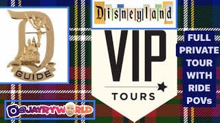 Disney VIP Private Tour Tips and Tricks for Christmas with the Best Rides Filmed in 4K