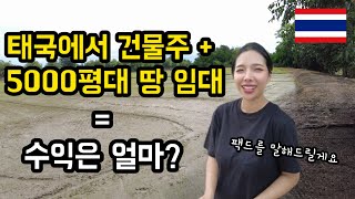 태국 시골에 건물과 땅을 소유하고 계신 장모님께 수익을 여쭤봤습니다ㅣ태국 시골 땅의 진실