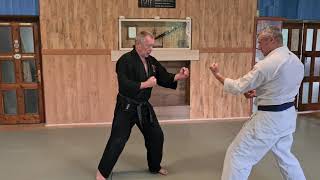 Heian Shodan Bunkai-kumite Nr. 3