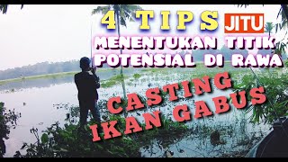 casting ikan gabus dengan tips ini sangat efektif mendapatkan sambaran