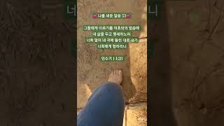 너희 말이 내 귀에 들린 대로 내가 너희에게 행하리니/민수기 14:28/나를 세운 말씀/맨발 걷기 좋은 날 238/앞산 맨발산행루틴