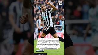 highlight dan statistik  pertandingan Premier League liga inggris newcastle United vs southampton