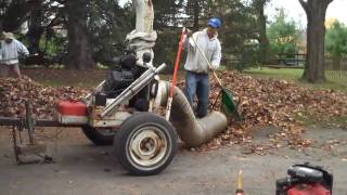 Autumn clean-up by Chris Orser Landscaping