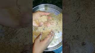 Peanut laddu| Homemade Laddu Recipe | Mungfali ke laddu | High protein Laddu #shorts #laddu #foodie