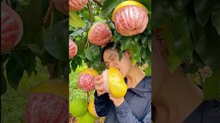 Most delicious farm fresh china fruits #shorts