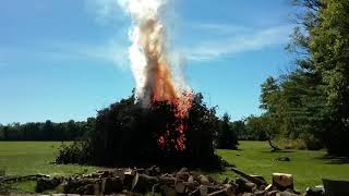 Burning brush pile