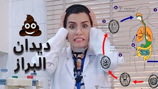 تحليل البراز ( الخروج - الستول) ، الجزء5 stool analysis