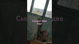 Сьогодні буде відео