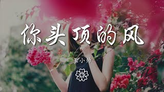 王小帥 - 你頭頂的風『我藏在人羣 中然後失去晴空』【動態歌詞Lyrics】