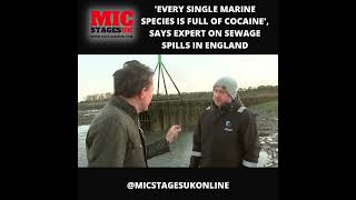 'Every single marine species is full of cocaine', says expert on sewage spills in England