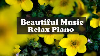 Beautiful Music & Relax Piano (Study, Writing, Relax,  Stress Relief, Background Music)