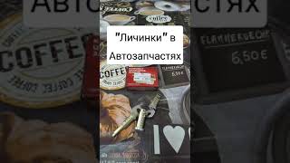 "Личинки" в Автозапчастях #shorts