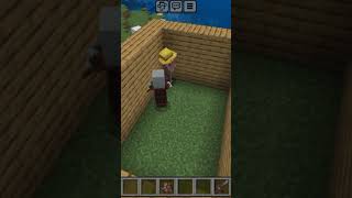 MINECRAFT VILLAGER Vs PILLAGER#short#shorts