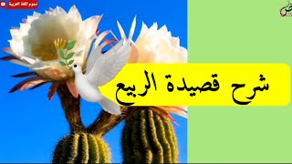 شرح قصيدة الربيع| الصف السابع