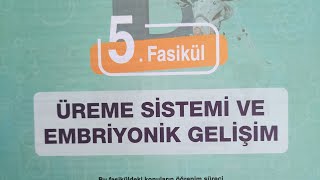 Testokulu AYT Biyoloji konu anlatım föyü-İnsanda Üreme sistemi-Erkek üreme sistemi