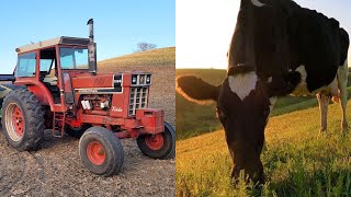 How Much Money Do Farmers Make? The Numbers on a Dairy Farm!