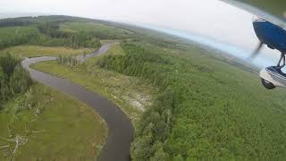 Ghost Forest of Copalis - It Happened Here January 26, 1700