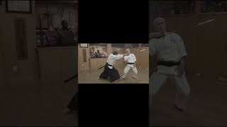 Karate Vs the Samurai Sword #martialarts #karate