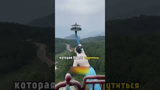 Удивительный аттракцион из Китая!